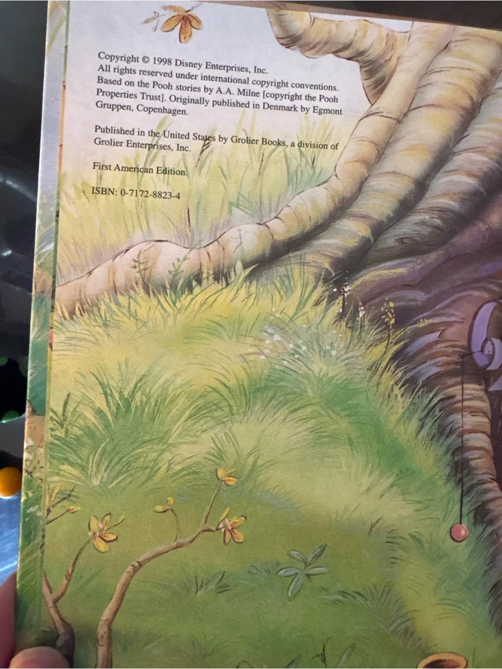 Disney Pooh How to Catch a Heffalump Book - Red, Pink, Brown, Green